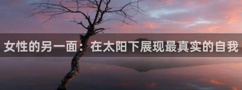 新宝5测速登录