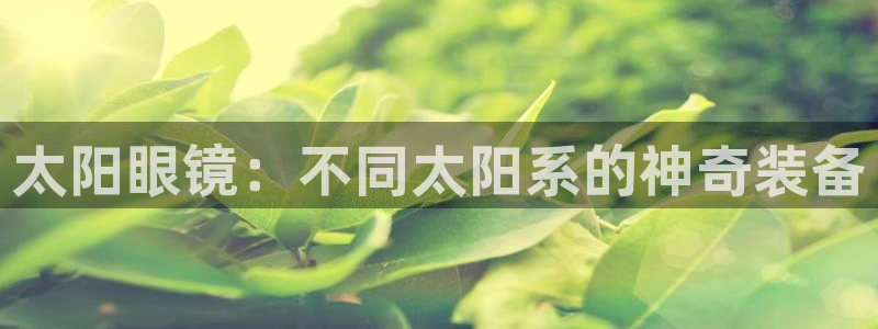 菲律宾新宝5老板