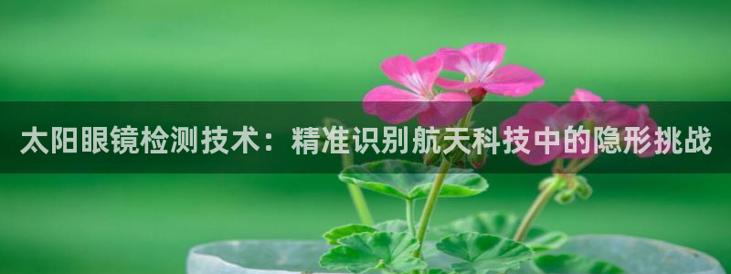 新宝5平台