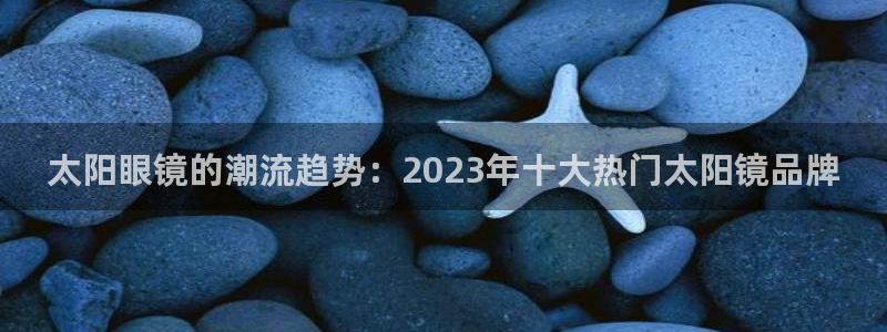 新宝股东瞧听2 5 5