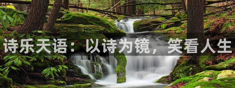 新宝5测速下载