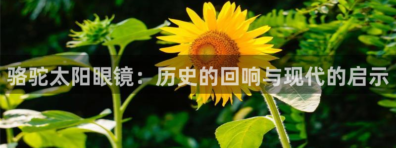 新宝j2O5O5O
