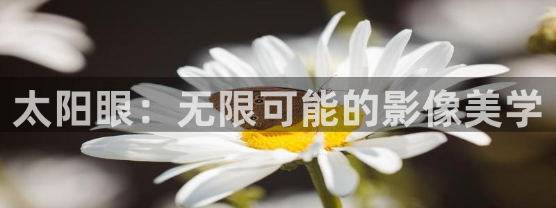 新宝5玩法