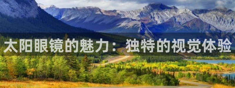 新宝5娱乐代理