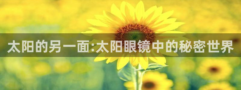 股票5G宝新