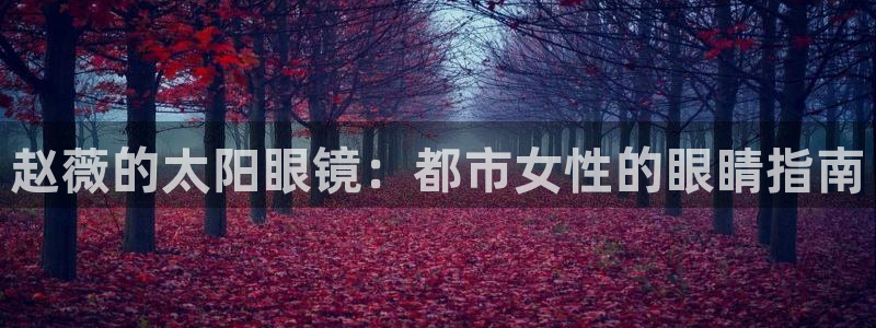 新宝5安卓版