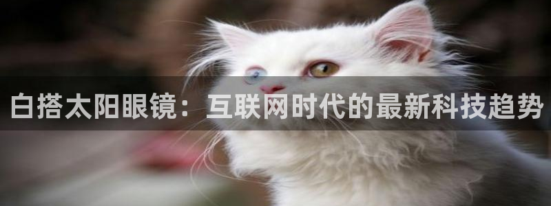新宝5下载到桌面