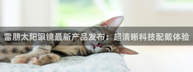 新宝5怎么代理