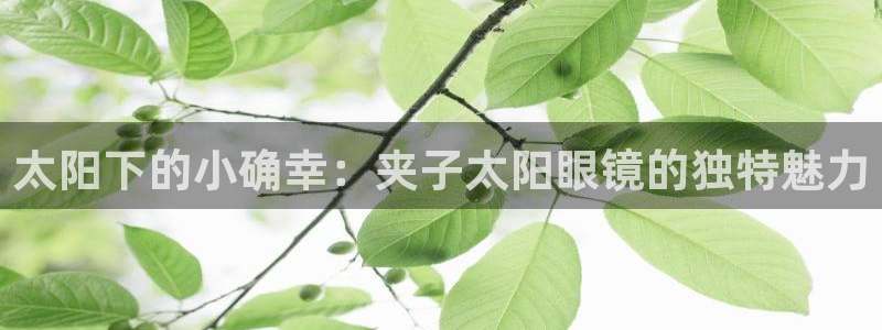 新宝5网站