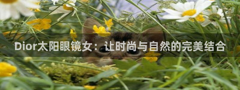 新宝5娱乐平台