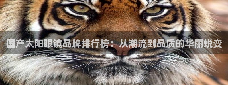 新宝5网
