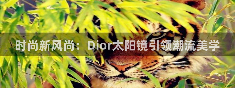 新宝5是谁的