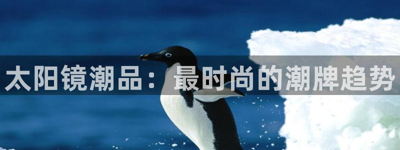 新宝5娱乐经
