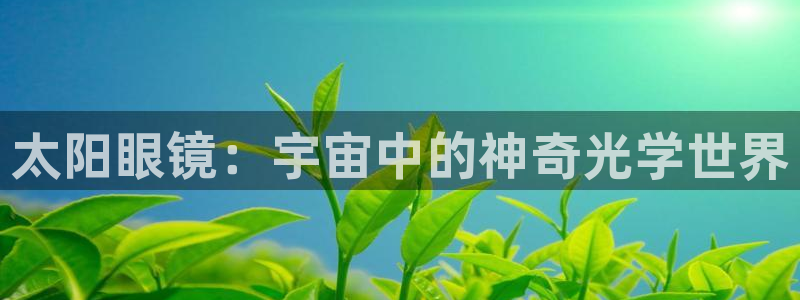 新宝5娱乐如