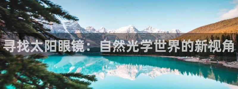 新宝5测试