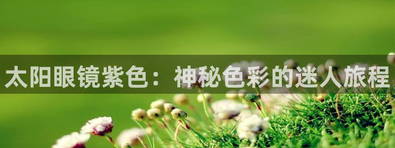 新宝5测速下载