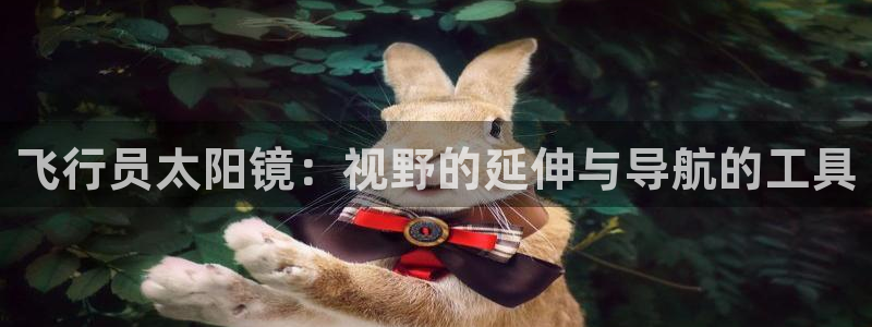 新宝5app手机下载