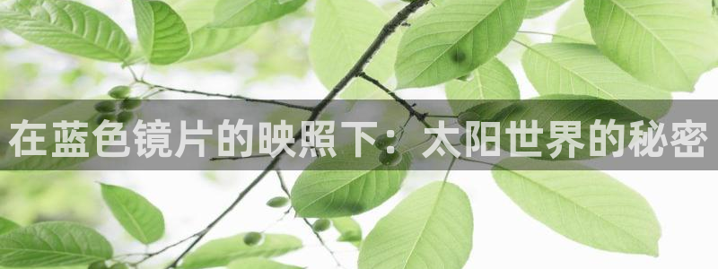 新宝5安卓版