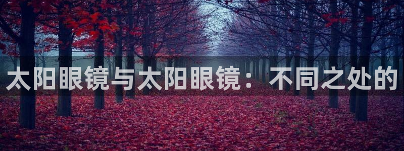 新宝5的网址