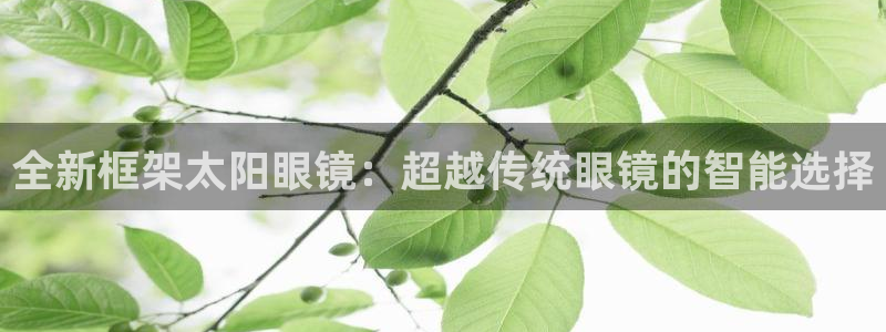 新宝那2O5O5O
