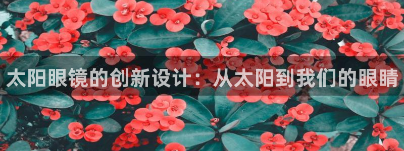 新宝5下载软件