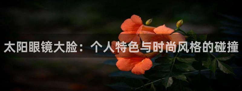 新宝5首页