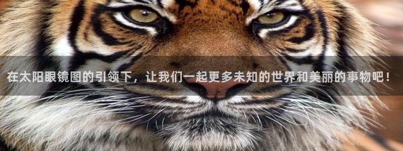 股票5G宝新