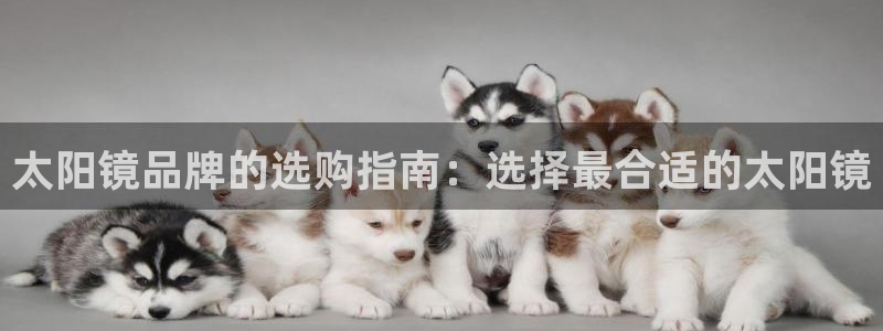 新宝5什么时候上市