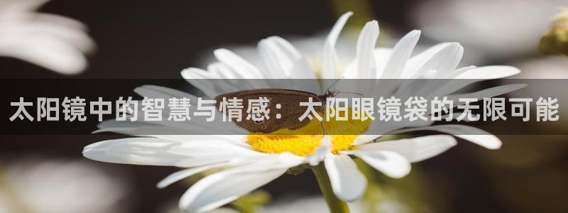 新宝5登陆地址