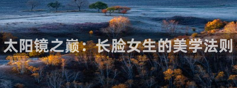 新宝5官方下载地址